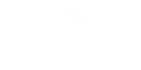 Beddow Capital Management